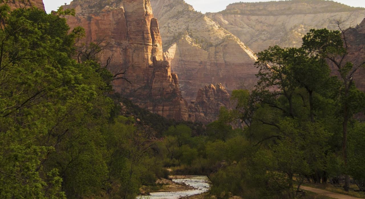Íngreme, cânions, Zion, nacional, parque, Utah