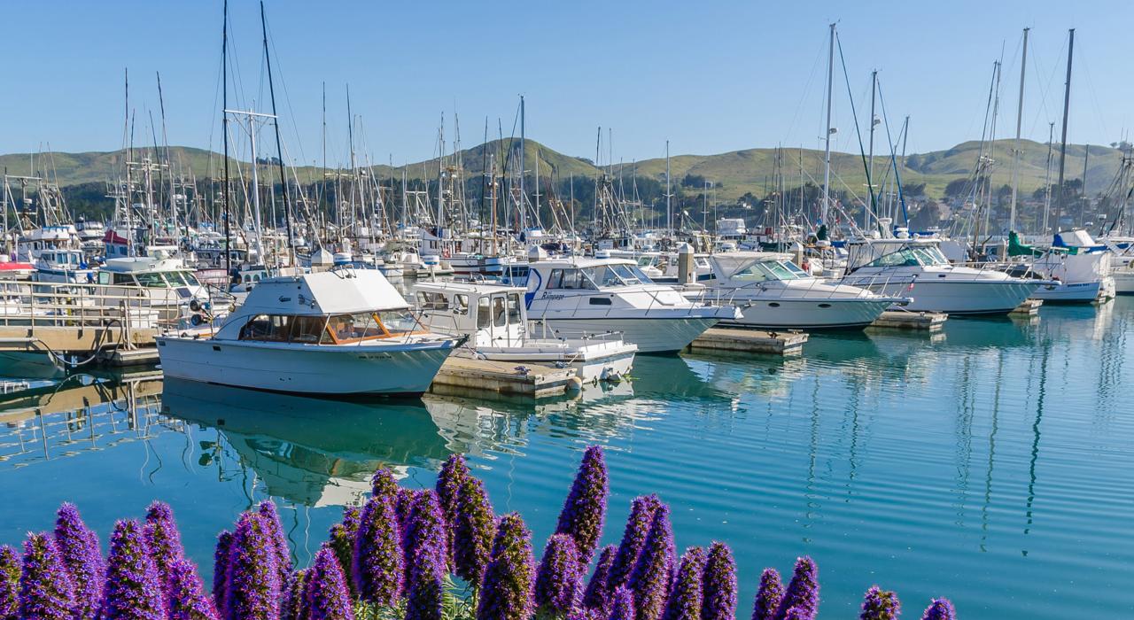Boats docked at a marina on Bodega Bay