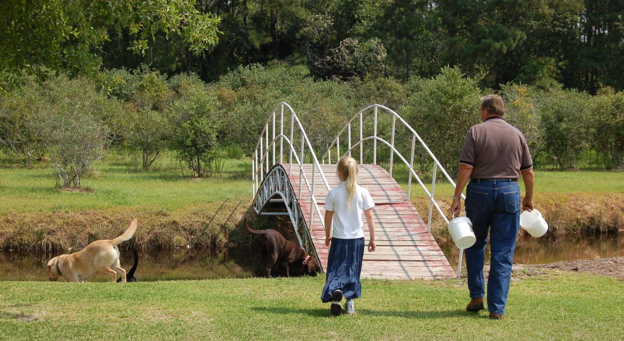 Heading out to pick blueberries along the Neches River