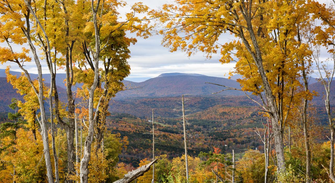 Scenic mountain view on an autumn day