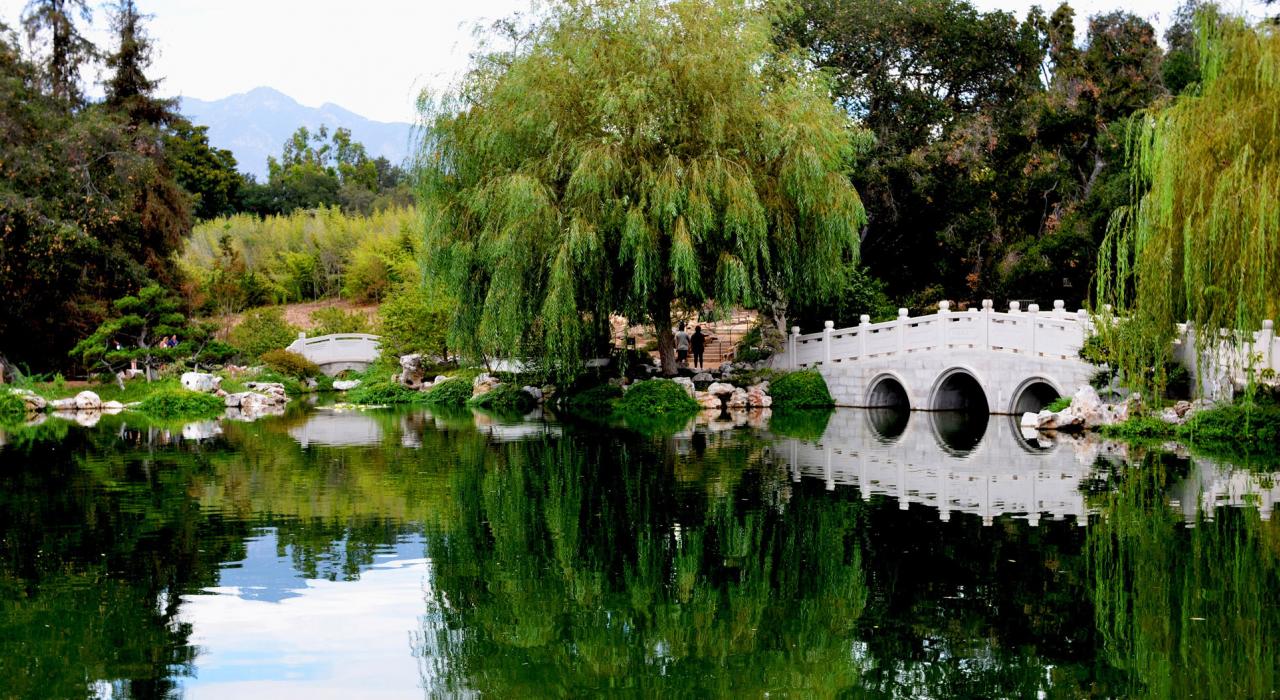 Tranquil, Chinese-style Garden of Flowing Fragrance at the Huntington Library