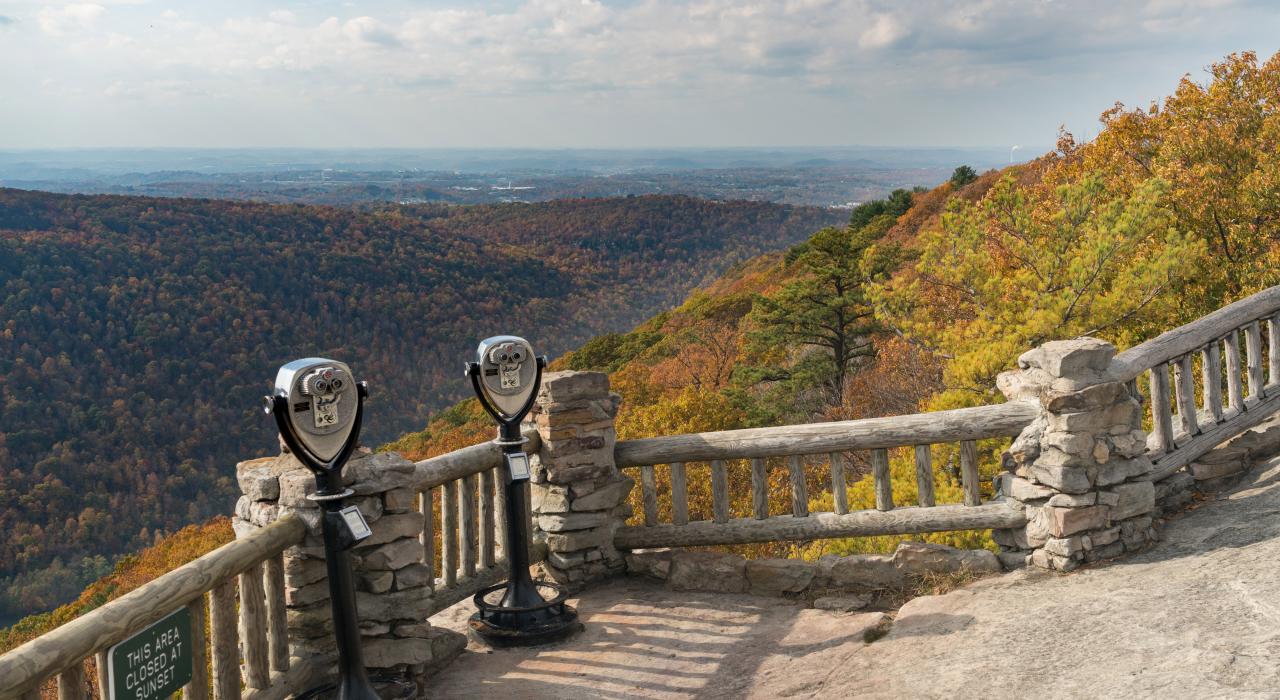Overlooking the vast landscape of Coopers Rock State Forest