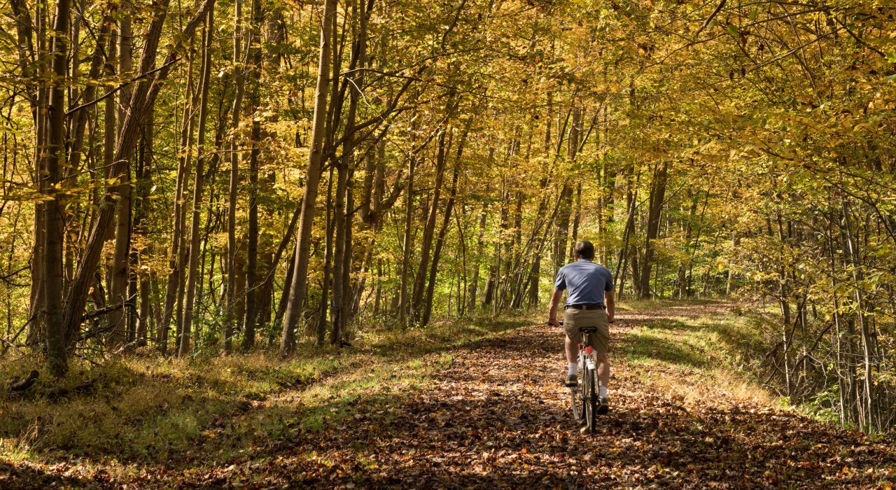 Bicycling through a blanket of leaves along Deckers Creek Trail
