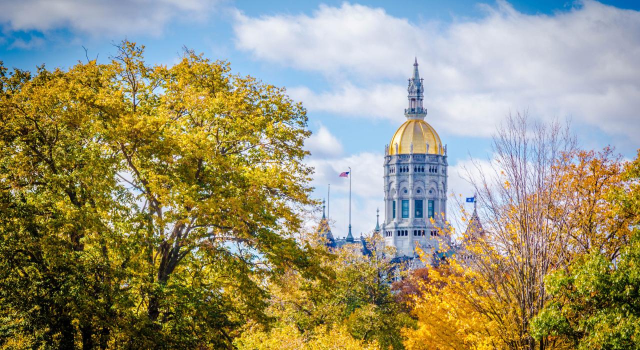 State Capitol dome glistening above foliage surrounding the city