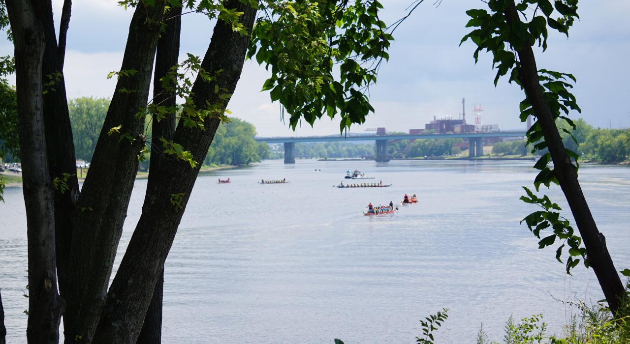 Crews competing in the Dragon Boat Festival on the Connecticut River