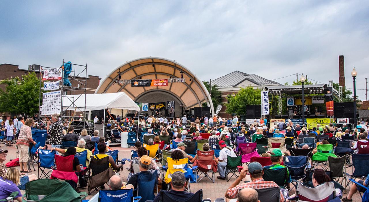Well-attended Kalamazoo Blues Festival