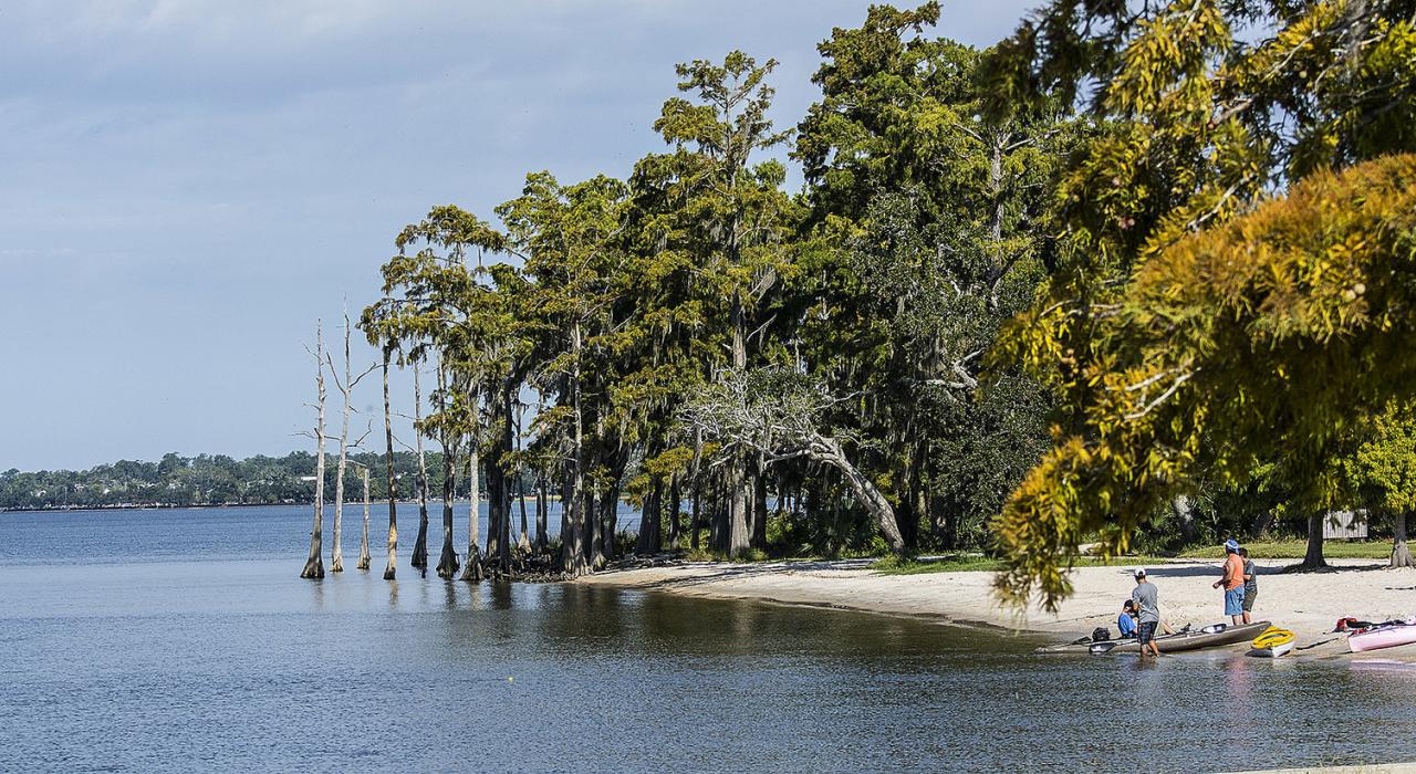 Shoreline at the Fountainebleu State Park in Mandeville