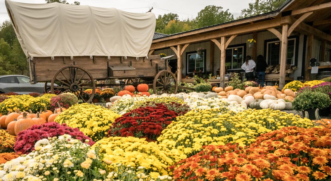 A local farm blooms with colorful foliage