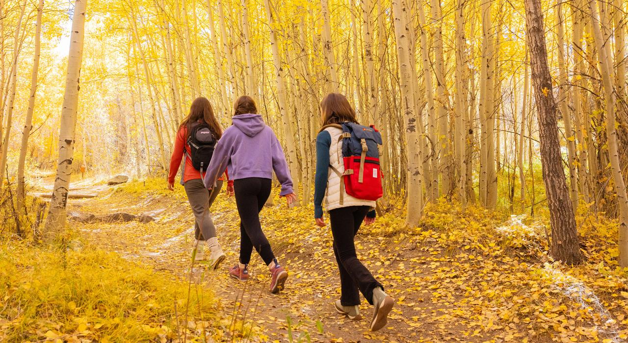 Una caminata panorámica por Mosca Pass Trail