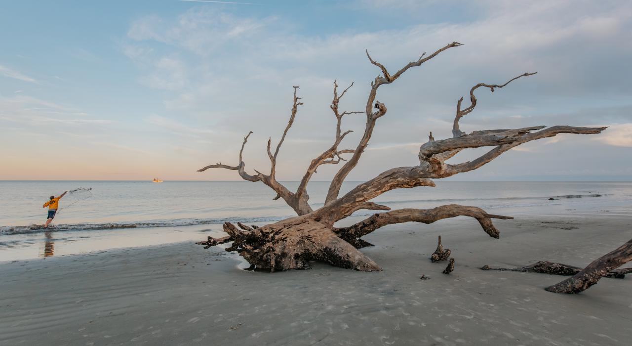 A serene scene on Jekyll Island’s Driftwood Beach