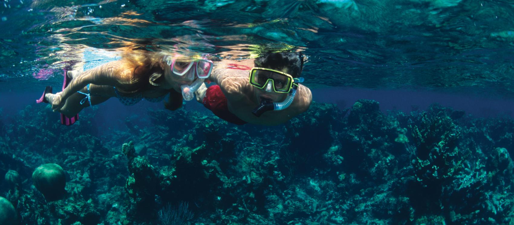Snorkeling over coral reefs in St. Croix