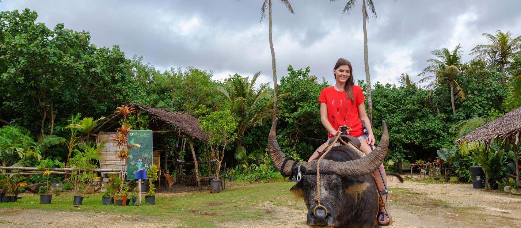 Riding a carabao (water buffalo)