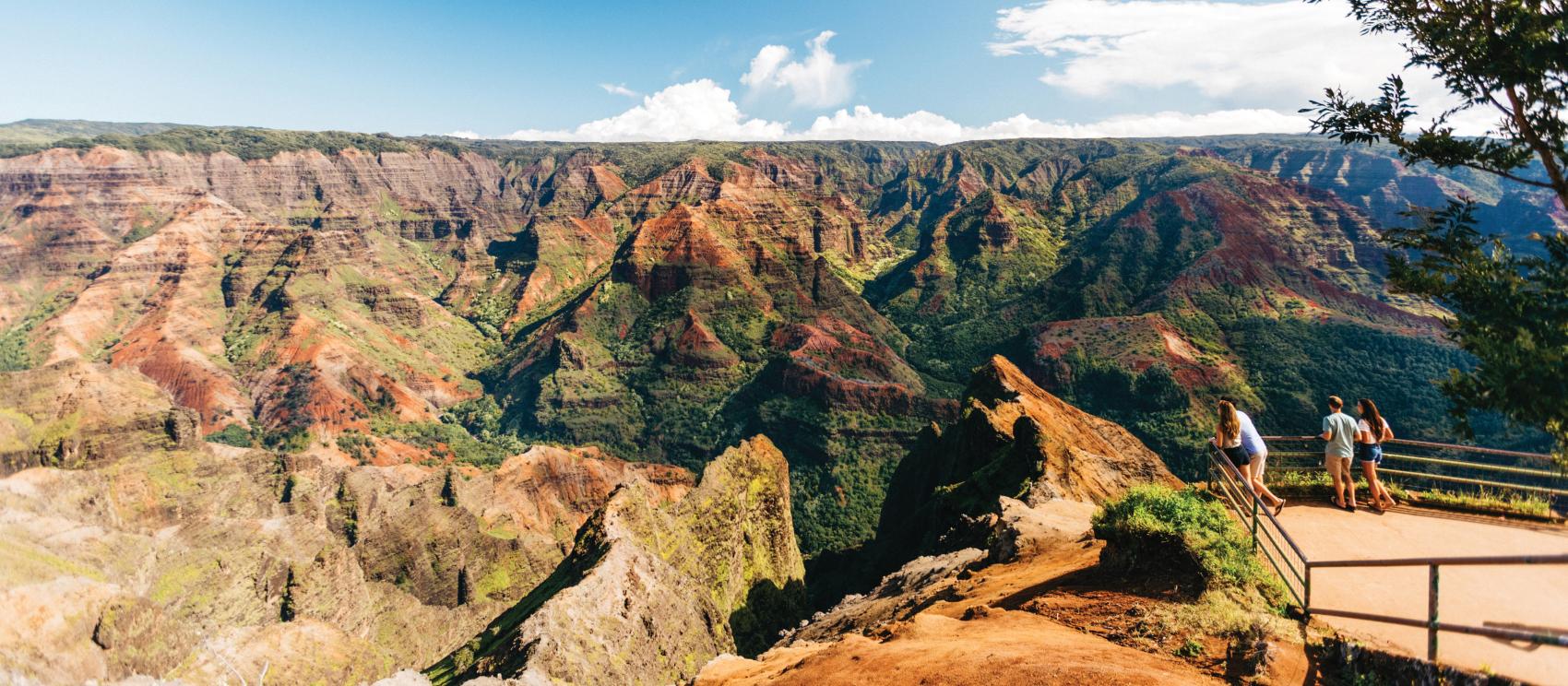 Peering across vast canyons at Waimea Canyon Lookout on Kauaʻi
